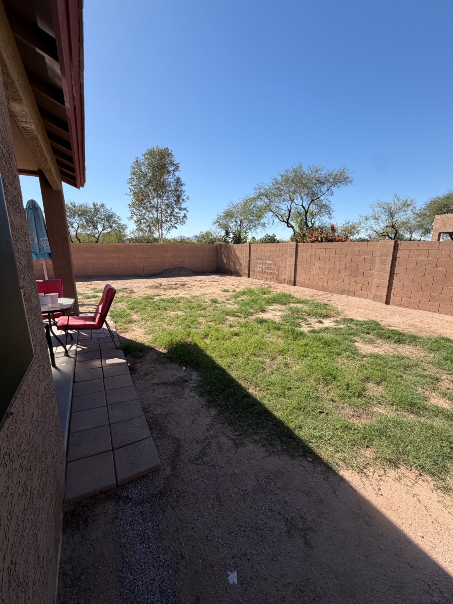 Backyard before turf and paver renovation